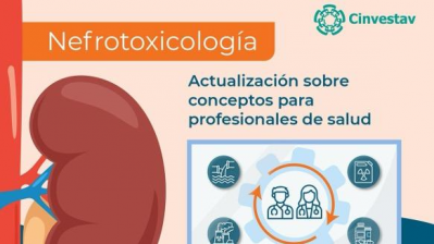 Nefrotoxicología